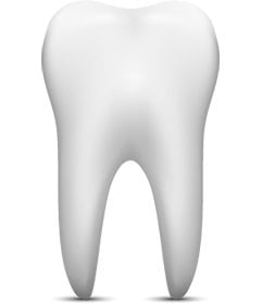 Illustration of a healthy tooth