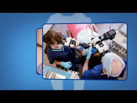 endodontic retreatment information video